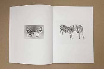 アート・デザイン・音楽 Jochen Lempert: Paare / Pairs Jochen Lempert Paare / Pairs – Hato Press